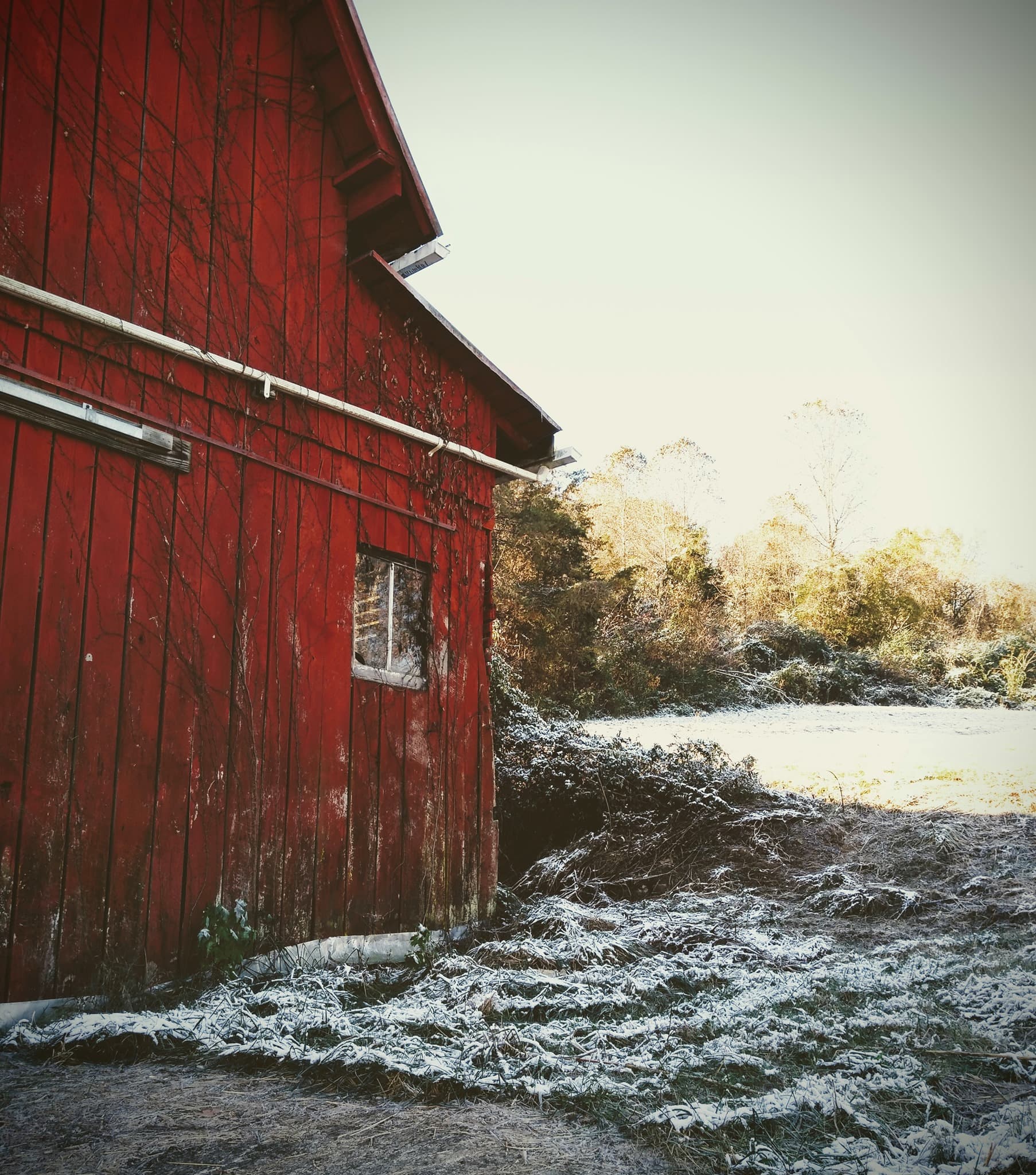Pressure canning setup